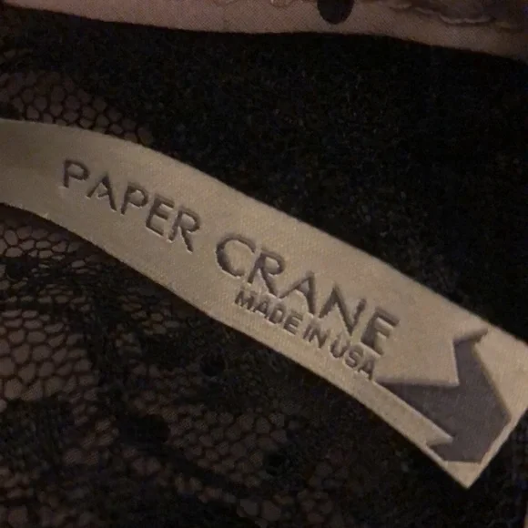 Paper Crane | Lace Panel Polka Dot Sheer Chiffon Blouse - Picture 6 of 7